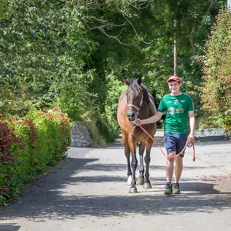 Curragh House Holiday home Kinsale