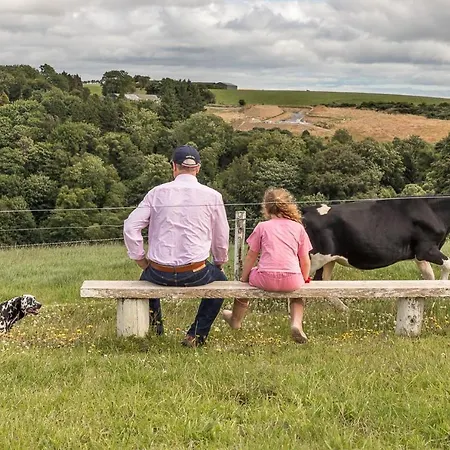 Curragh House بيت للعطل كينسالي