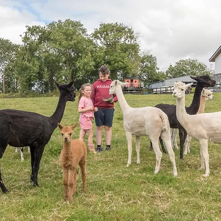 Curragh House بيت للعطل