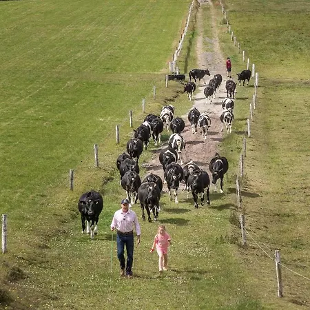 بيت للعطل Curragh House