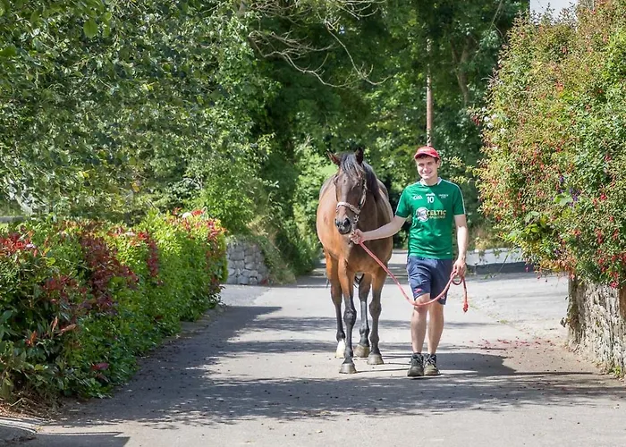 Curragh House 別荘 キンセール