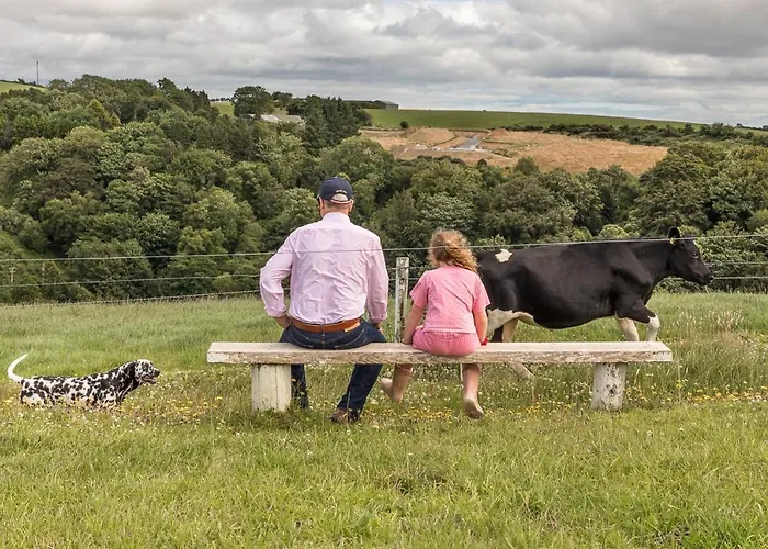 Curragh House 別荘 キンセール