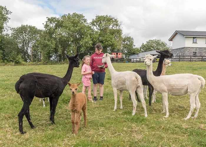Curragh House Tatil Evi