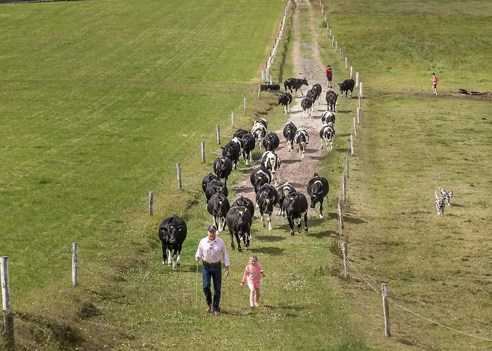 別荘 Curragh House